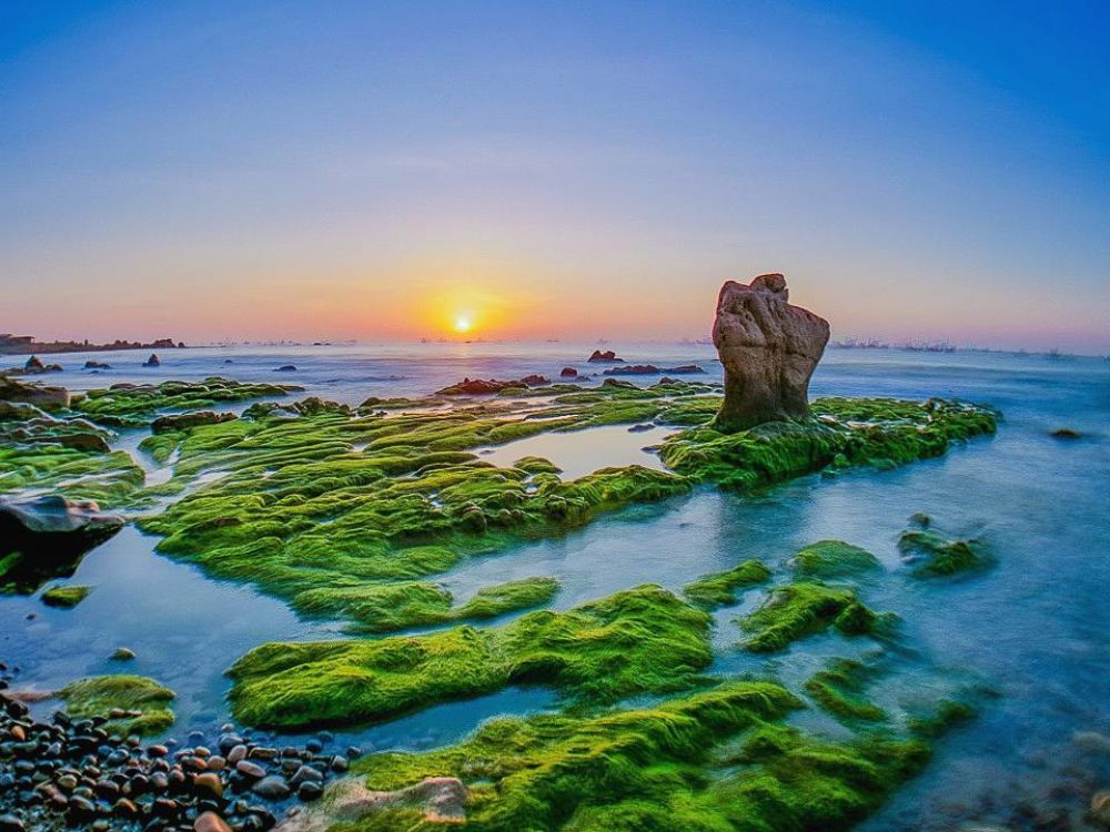 Bãi đá Cổ Thạch - Thủ phủ mùa rêu xanh miền Trung