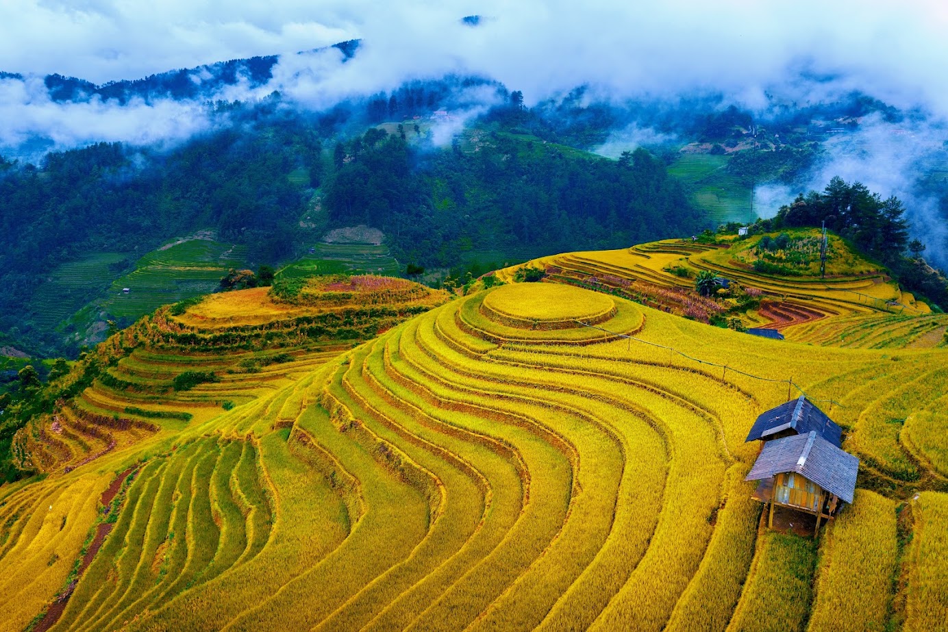 Mù Cang Chải mùa hè mang một vẻ đẹp khác biệt và đầy sức sống